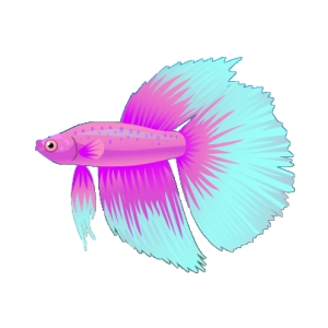 Pink Paradise Betta